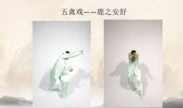 五禽戏教学视频完整版